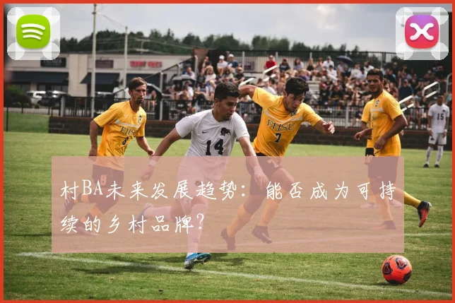 村BA未来发展趋势:能否成为可持续的乡村品牌?